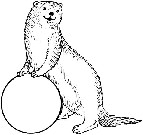 Otter Coloring Pages - Best Coloring Pages For Kids