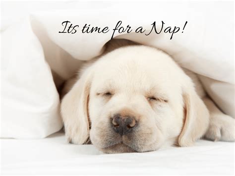 In Praise of the Afternoon Nap - FabuliciousFifty