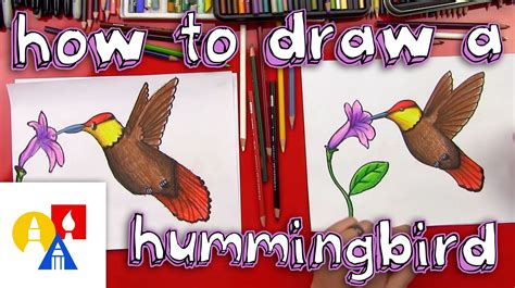 How To Draw A Hummingbird | Art for kids hub, Art for kids, Art lessons for kids