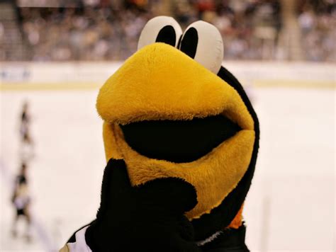 History of the Penguins Mascots, from Pete to Iceburgh