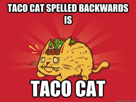 TACO STATUS - Taco Cat - quickmeme