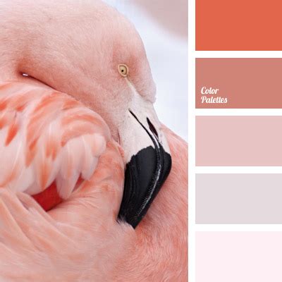 shades of coral color | Color Palette Ideas
