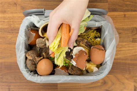 Indoor Composting 101: The Best How-To Guide – Yuzu Magazine