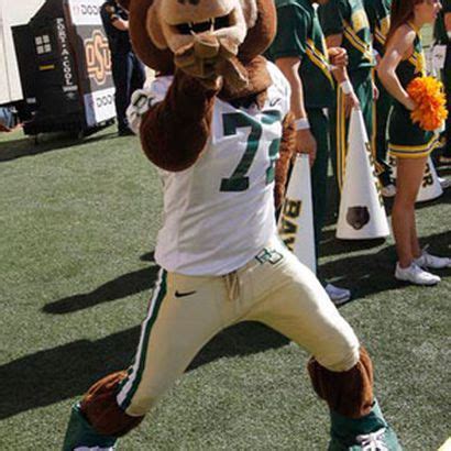 Caption This 9-7-11 Baylor mascot Bruiser the Bear needs a timely ...