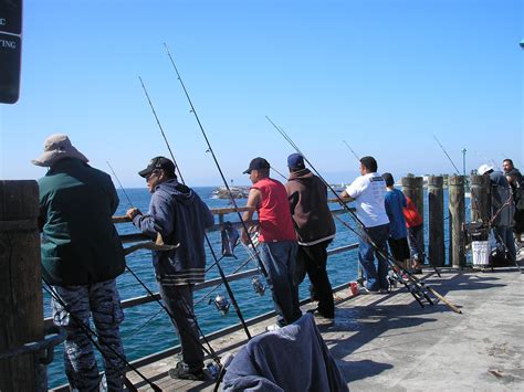 Fishing on the Redondo Beach Pier | Redondo beach california, Redondo beach pier, Redondo beach