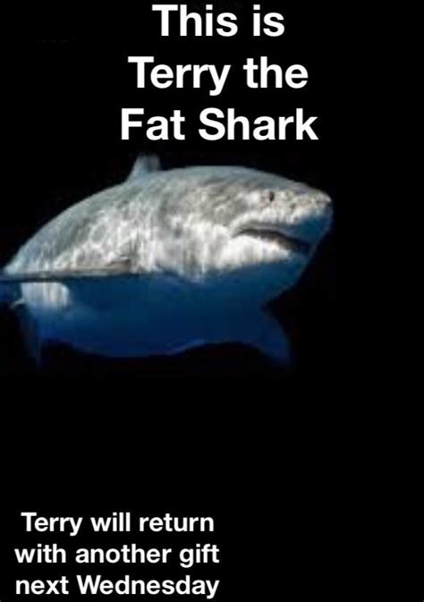 Terry the Fat Shark is back! Blank Template - Imgflip