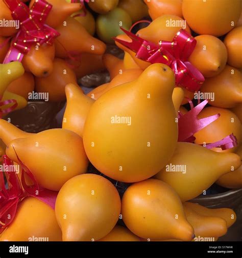 Solanum mammosum, Auspicious Chinese New Year Fruit, Singapore Stock ...