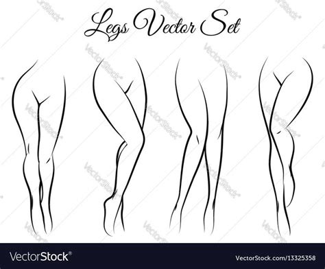 Woman legs vector set. Hand drawn woman legs isolated on white background. Download a Free ...