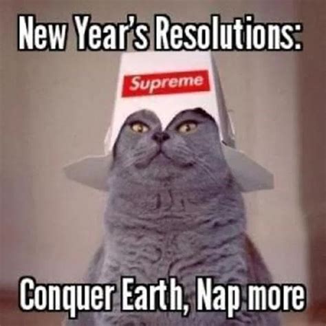 Get Ready for 2020 with these Cat New Year's Resolutions Memes