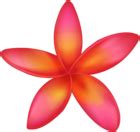 Exotic Flower PNG Clip Art Transparent Image | Gallery Yopriceville ...