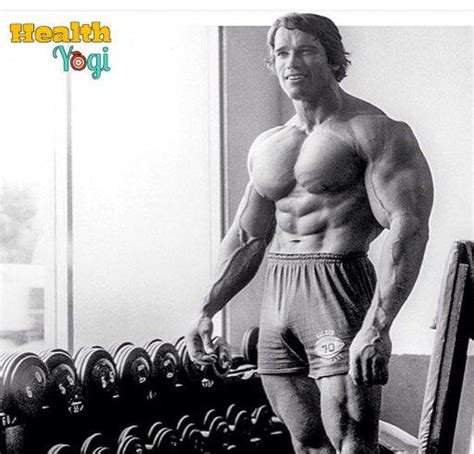 Arnold Schwarzenegger Workout Routine | Train A Like A Arnold - Health Yogi