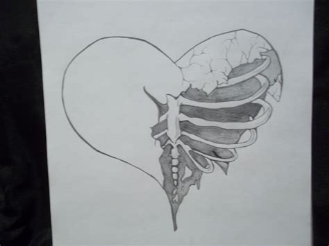 Heart with a ribcage in it. 2-21-14 | Artwork, Art, Drawings