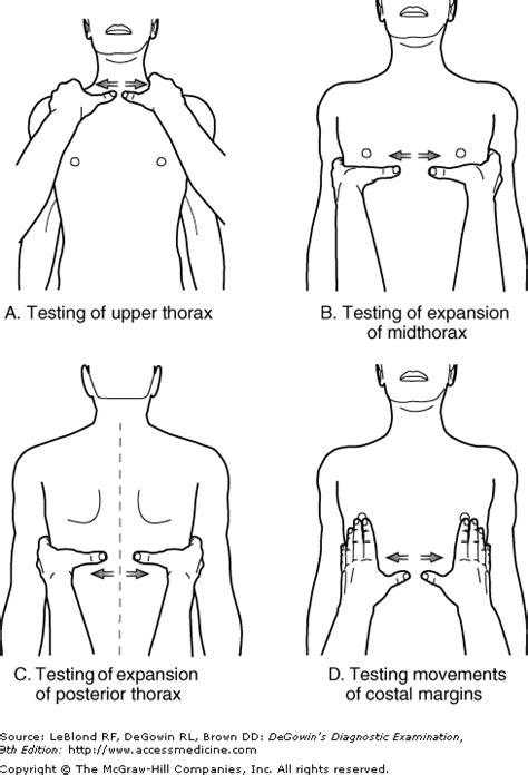 Respiratory assessment: chest palpation | Nursing math, Respiratory therapy, Nursing assessment