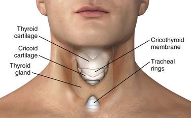 Cricothyroidotomy Anatomy