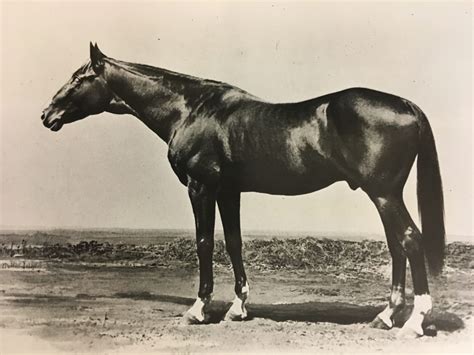 Lexington: The Granddaddy of Them All %%page%% - Bloodstock Archives