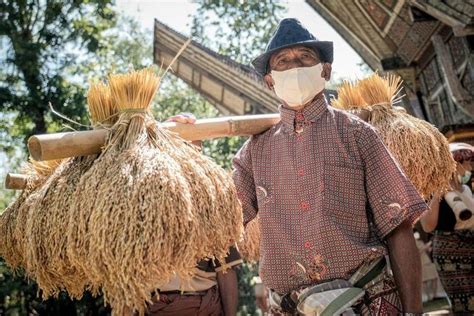 Desa Wisata Lembang Nonongan, Desa Agraris di Toraja Utara