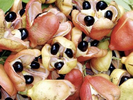 Warning issued following five cases of ackee poisoning in Manchester | News | Jamaica Gleaner