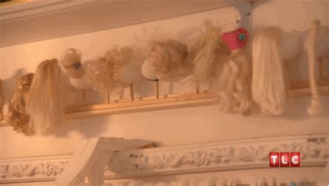 What other squirrel has such an extensive wig collection? Sugar Bush, Wigs, Cute Animals ...