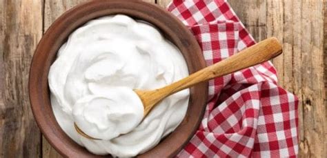 Have You Been Eating Yogurt with Milk? Heres Why You Should Avoid This Combination - NDTV Food