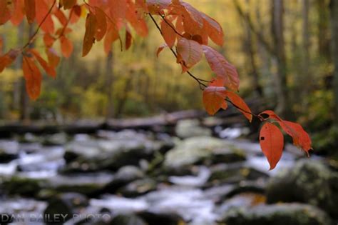 Using Shallow Focus for Increased Visual Impact in Your Landscape Photos | Dan Bailey's ...