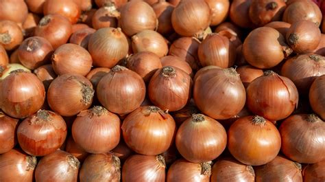 How To Tell If Onions Have Gone Bad