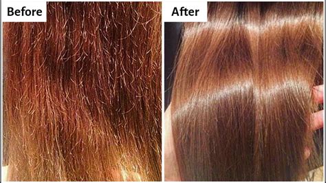 Top more than 74 can hair repair itself best - in.eteachers