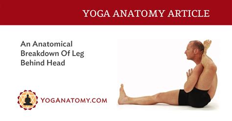 An Anatomical Breakdown Of Leg Behind Head - Yoganatomy