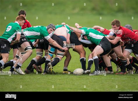 Rugby scrummage Stock Photo - Alamy