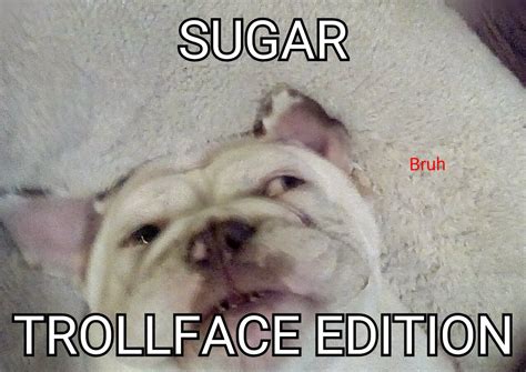 Troll Face, Bruh, French Bulldog, Memes, Dogs, Animals, Animales ...