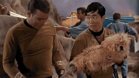 Why aren't there more memes about Star Trek's Unicorn Dog?