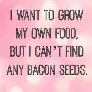 Bacon seeds. | Gardening quotes funny, Funny quotes about life, Happiness project