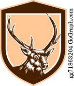100 Deer Stag Buck Antler Head Shield Clip Art | Royalty Free - GoGraph