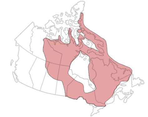 Geological Regions (Plain-Language Summary) | The Canadian Encyclopedia