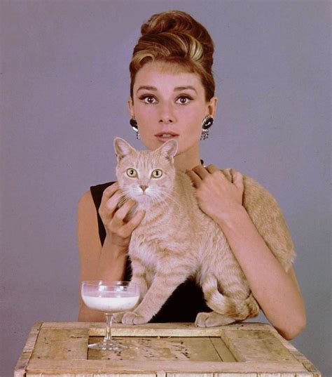 Audrey Hepburn Cat