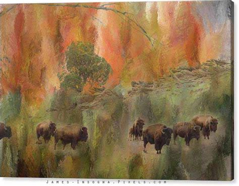 Bison Herd Watching Fine Art Print – Colorado Nature Landscape Art ...