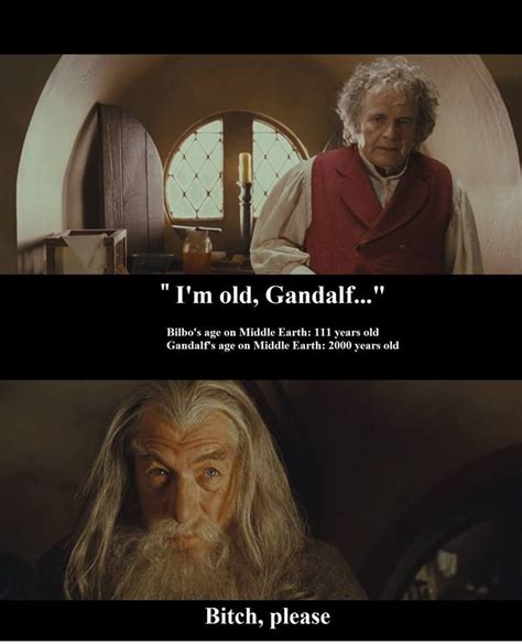 Pin on Funny LOTR