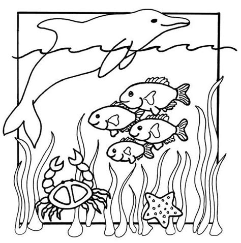 Easy Sea Animal Coloring Pages for Kids - Kids Art & Craft