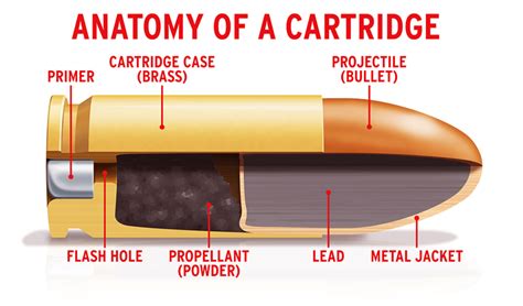 on target shooter nz: Changing Nature of Cartridges - What's Next?: