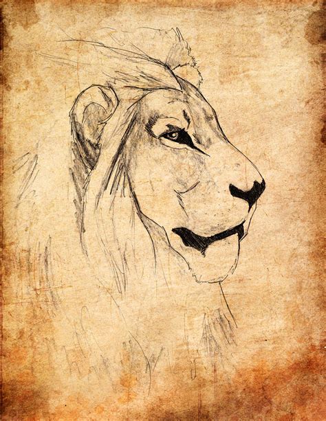 Lion side profile by onenesstp on DeviantArt