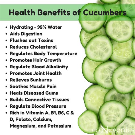 Can Dogs Eat Cucumbers? | Cucumber health benefits, Cucumber benefits ...