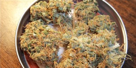 What is the rarest weed out there? Top 10 Rarest Weed Strains On Earth ...