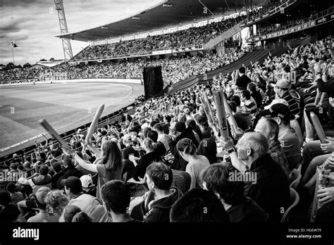 A huge crowd of people in a stadium cheering at a cricket match Stock Photo - Alamy