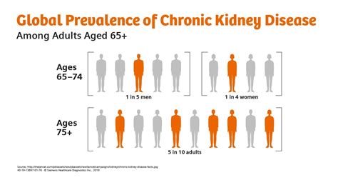 Chronic Kidney Disease Nutrition Guide 2022