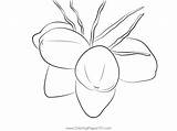 Coconut Water Health Benefits Coloring Page For Kids  Free sketch template