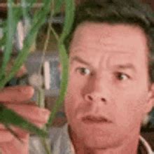 Confused Mark Wahlberg Wtf Puto GIF - Confused Mark Wahlberg Mark ...