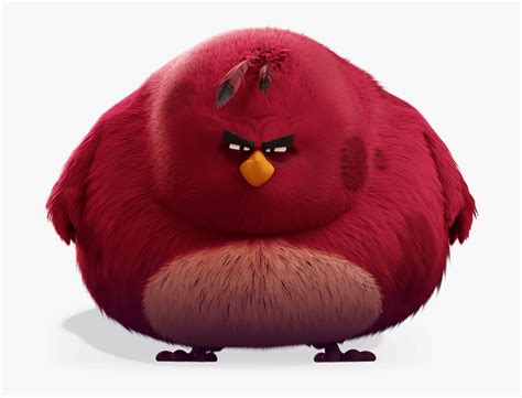 Terence From Angry Birds, HD Png Download - kindpng