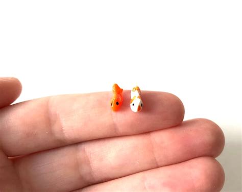 Worlds Tiniest Fish/ Tiny Fish/ Mini Fish/ Micro Mini Fish/ Tiny ...