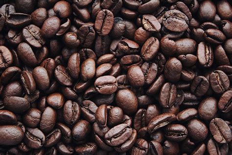 Coffee Beans · Free Stock Photo