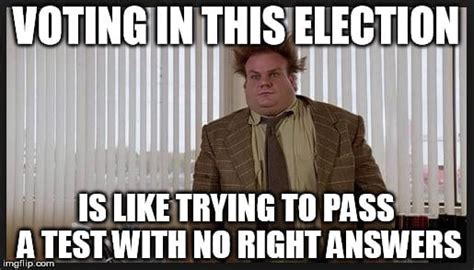 30 Voting Memes to Remind You to Exercise Your Rights - SayingImages.com