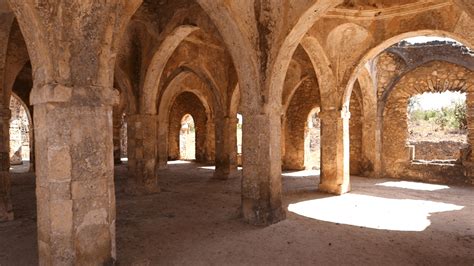 Kilwa Kisiwani, Tanzania - Great Mosque of Kilwa. : r/AfricanArchitecture